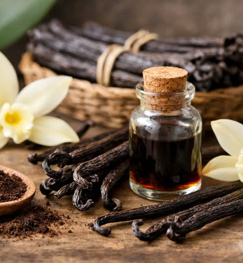 Echte Vanille richtig auswählen