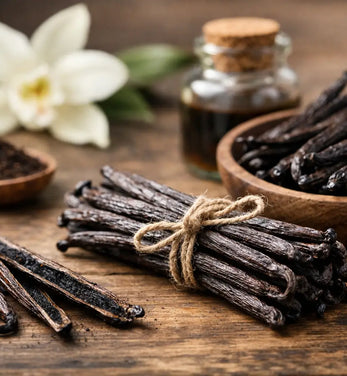 Vanille Schoten Premium richtig auswählen