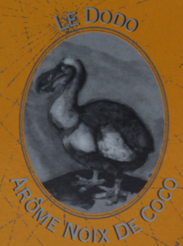 The extinct dodo of Mauritius