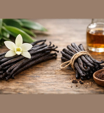 Tahiti Vanille Unterschied zu Bourbon